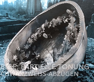 Partielle Tonung von Schwarzweiss-Abzügen mit Blautoner und Entwickler