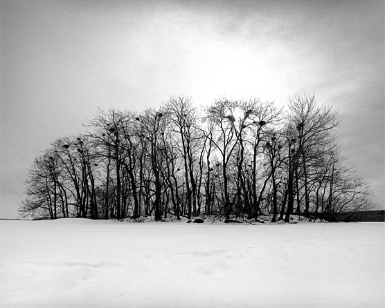 Fotoserie vinter ljus - Dan Hummel, foto konstnär, Köln, Tyskland